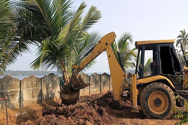 Tree Translocation