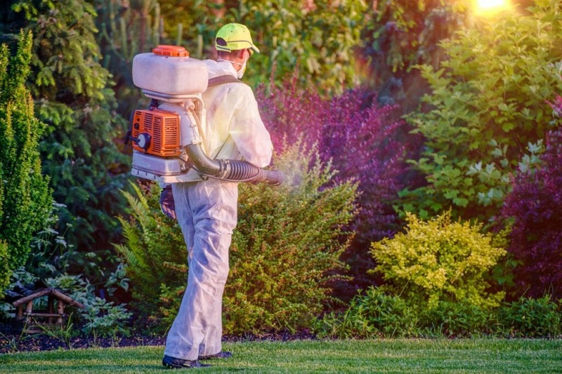 Tree Pest Control